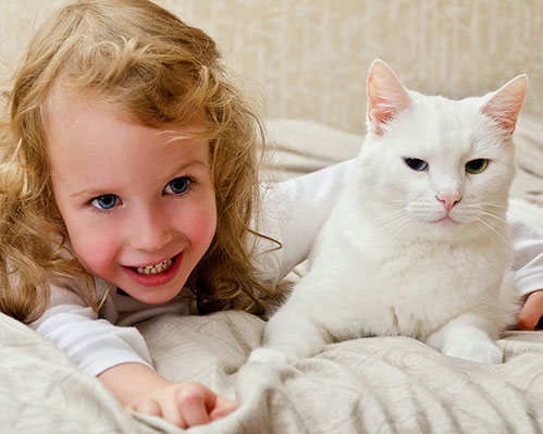 Little girl with cat